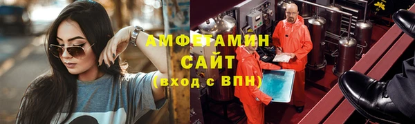 ECSTASY Богданович
