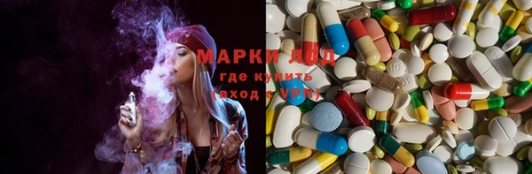 ECSTASY Богданович