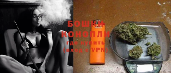 ECSTASY Богданович