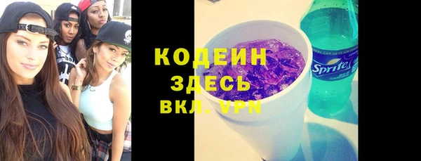 шишки Богородицк