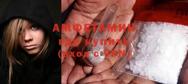 шишки Богородицк