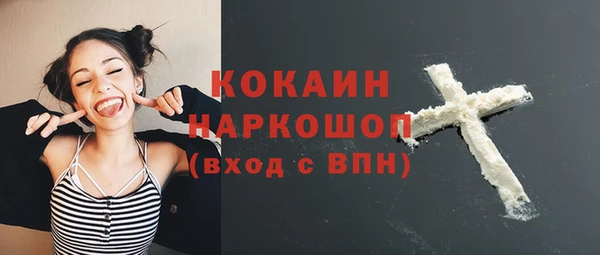 ECSTASY Богданович