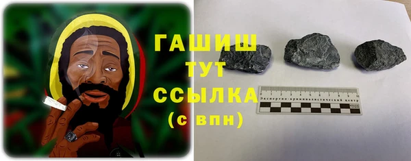 шишки Богородицк