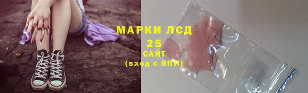шишки Богородицк