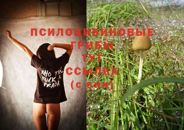 ECSTASY Богородск