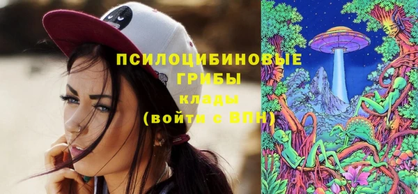 шишки Богородицк