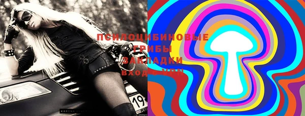 ECSTASY Богородск