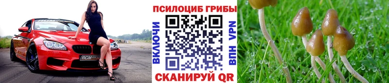 Галлюциногенные грибы Magic Shrooms  Купить закладки  Верхняя Салда 