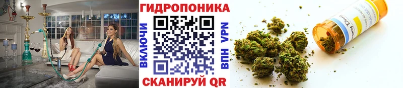 Конопля индика  Купить закладки  Верхняя Салда 